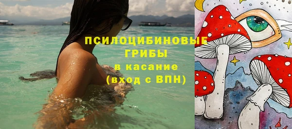 бошки Армянск